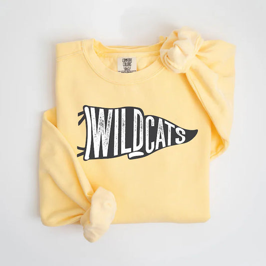 Wildcats Pennant DTF Transfer