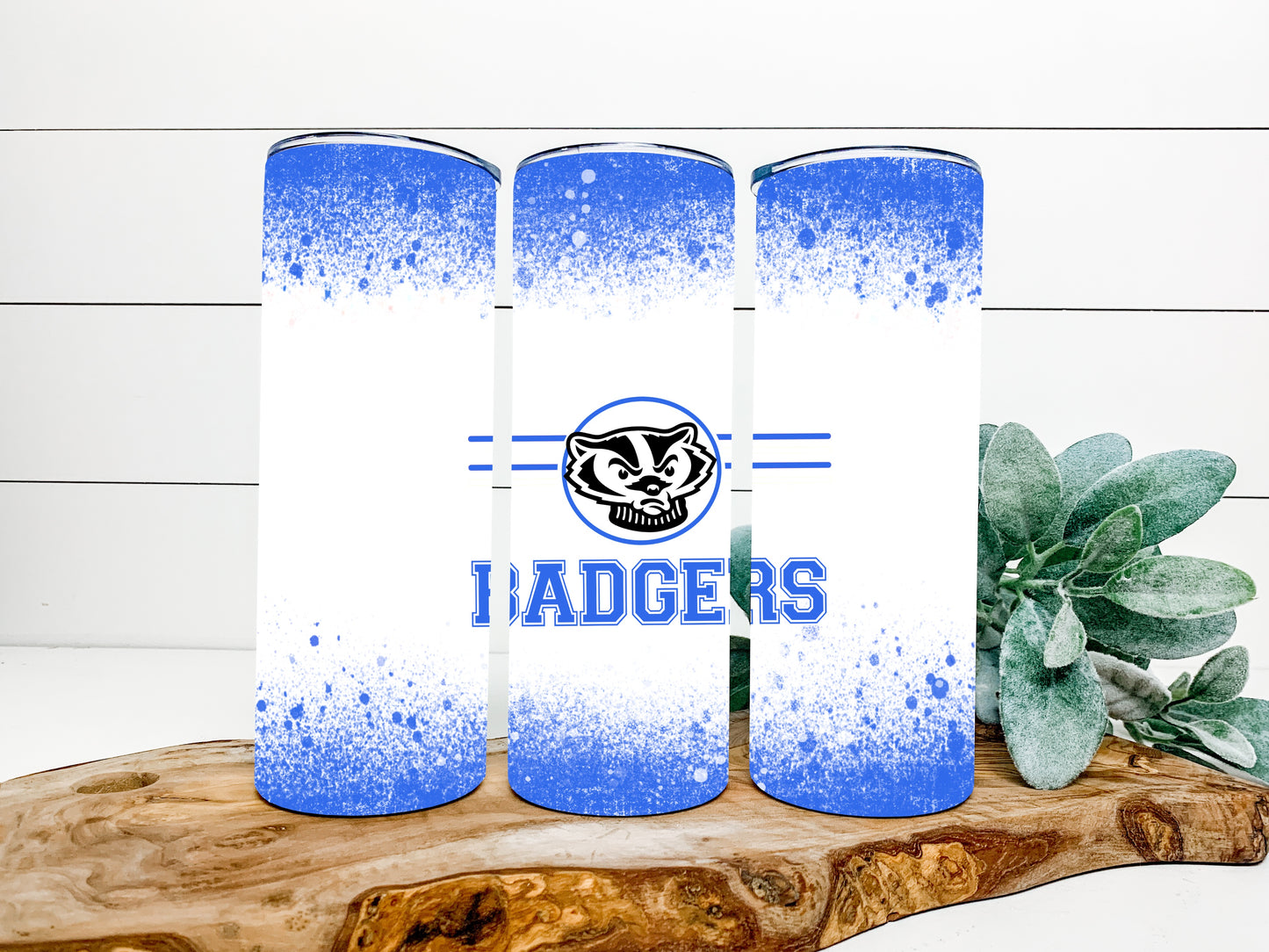 Badgers Completed 20oz Skinny Tumbler